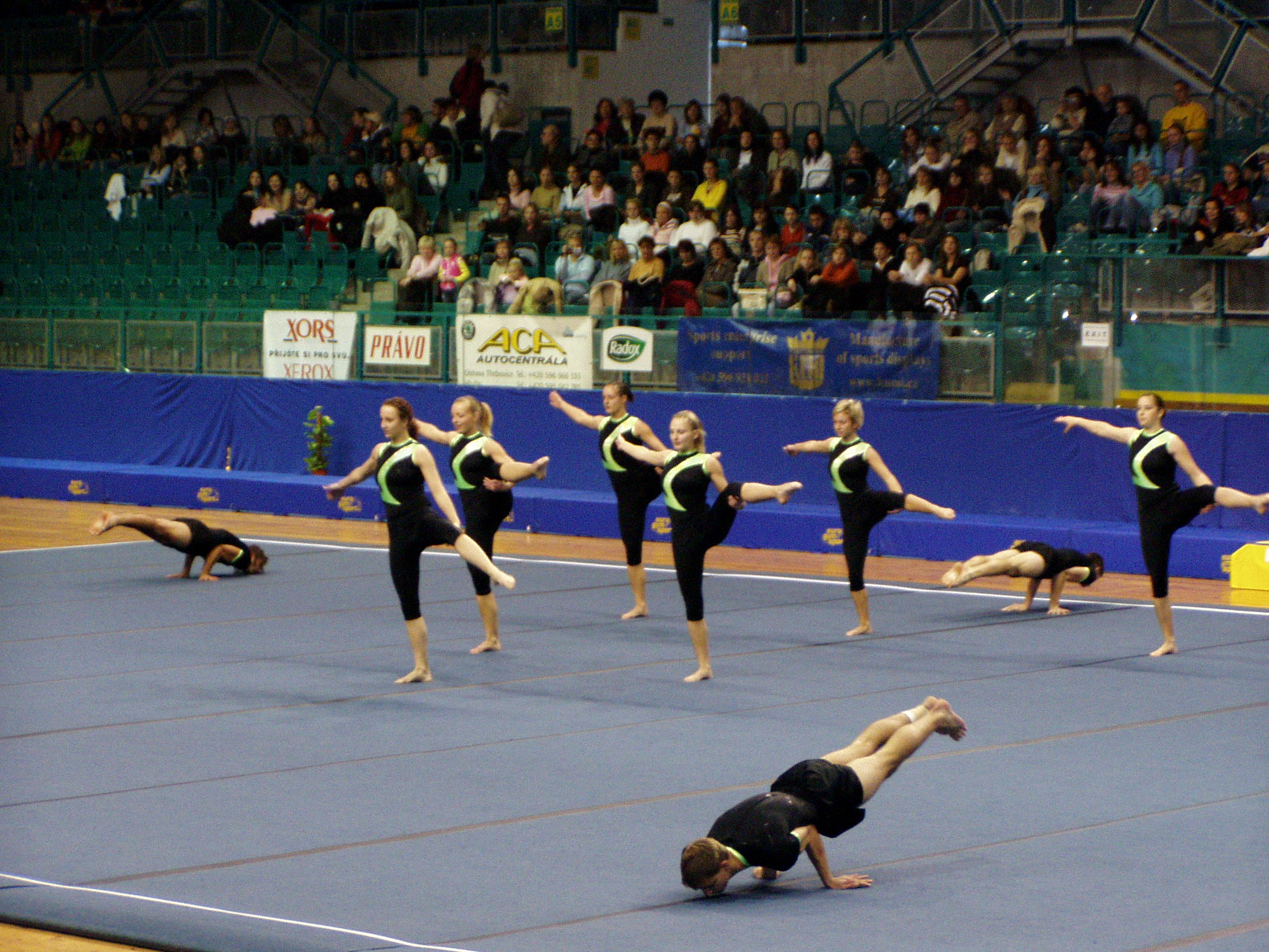 P1010006.JPG